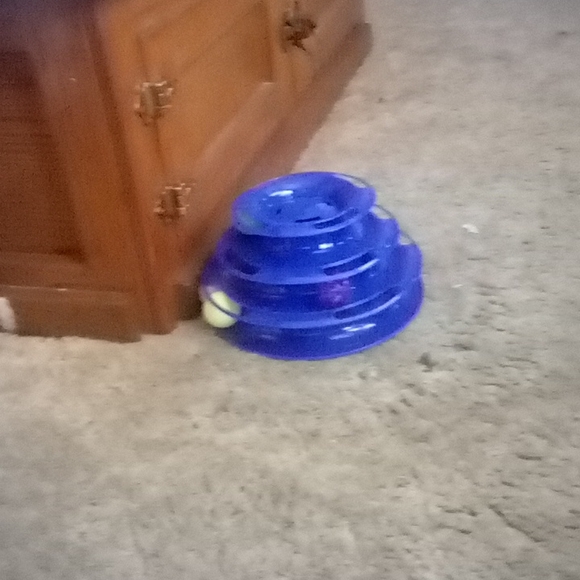 Other - Vibrant Life Cat Toy